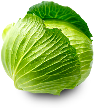 Cabbage Png Clipart - Cabbage Png (532x404)