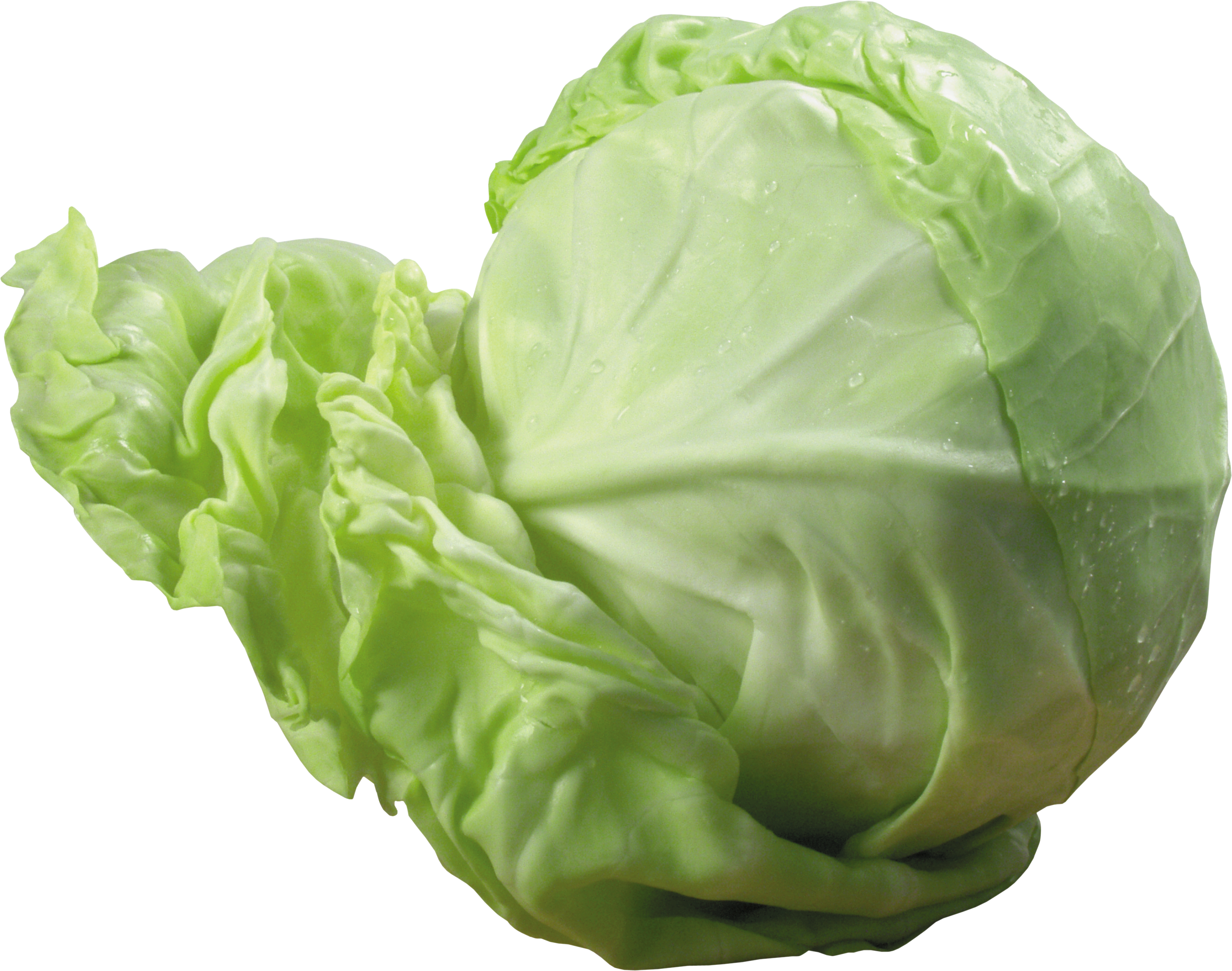 Cabbage Transparent Background (2995x2361)