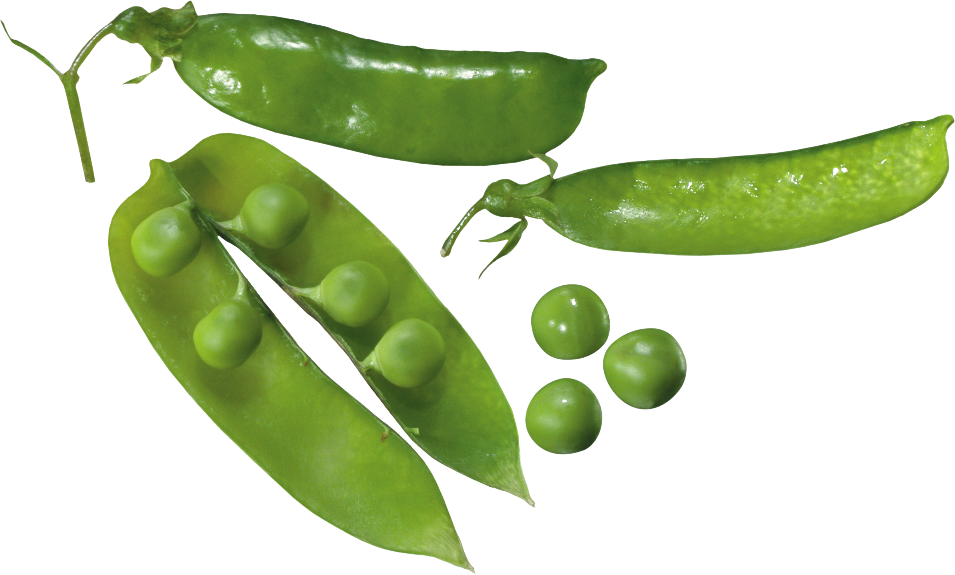 Pea Png - Pea (3058x1844)