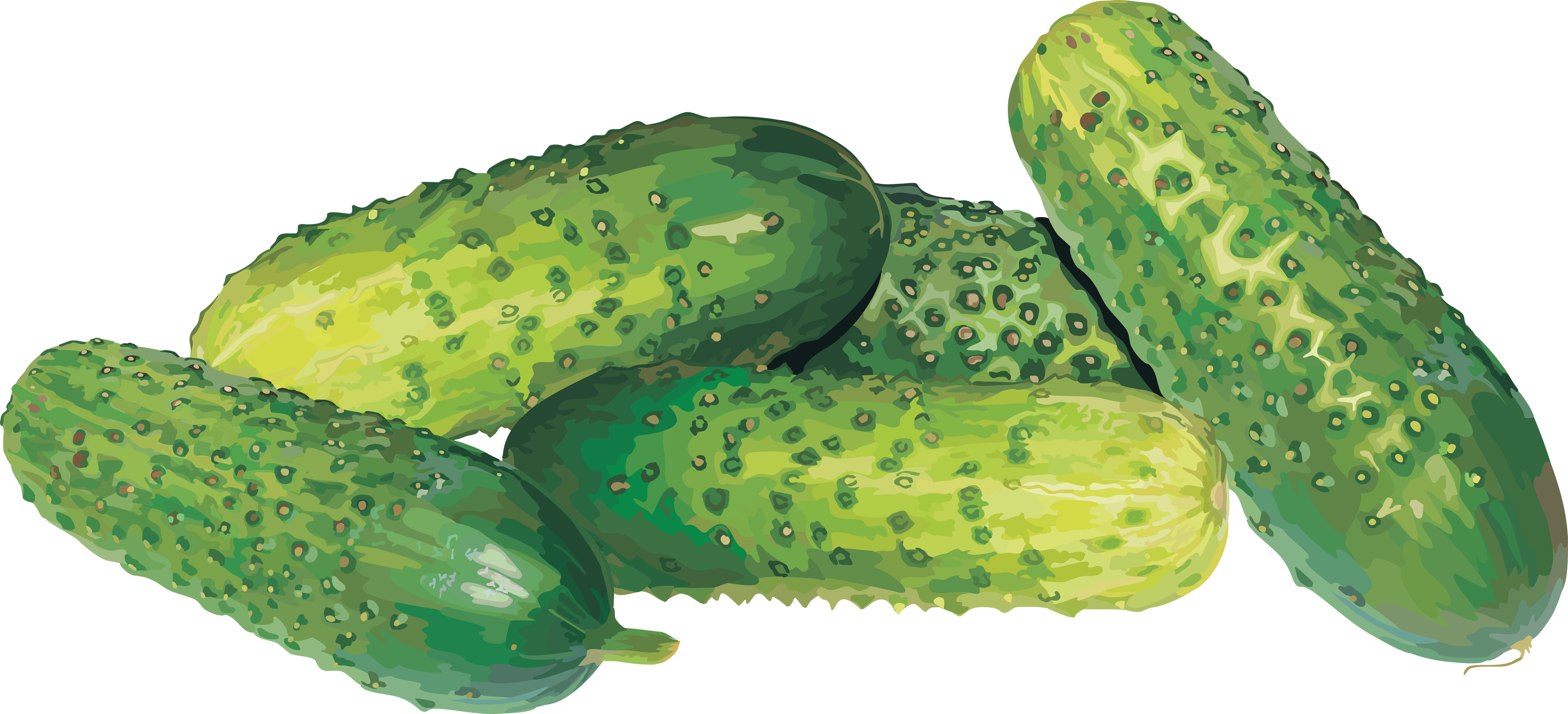 Cucumbers Png - Farmers Market Cucumbers Novelty Metal Circular Sign (3728x1697)