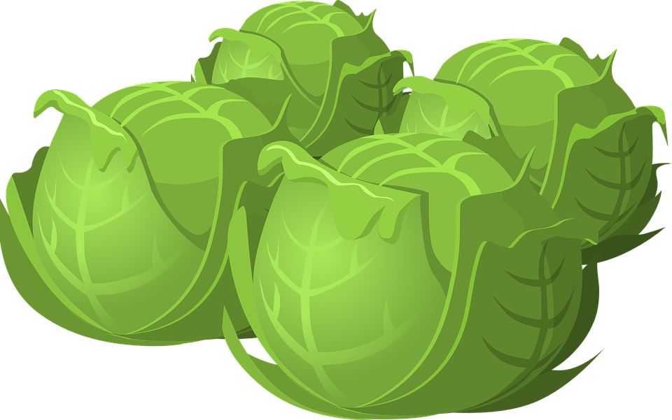Cartoon Cabbage Food Png - Cabbage Cartoon Png (960x601)