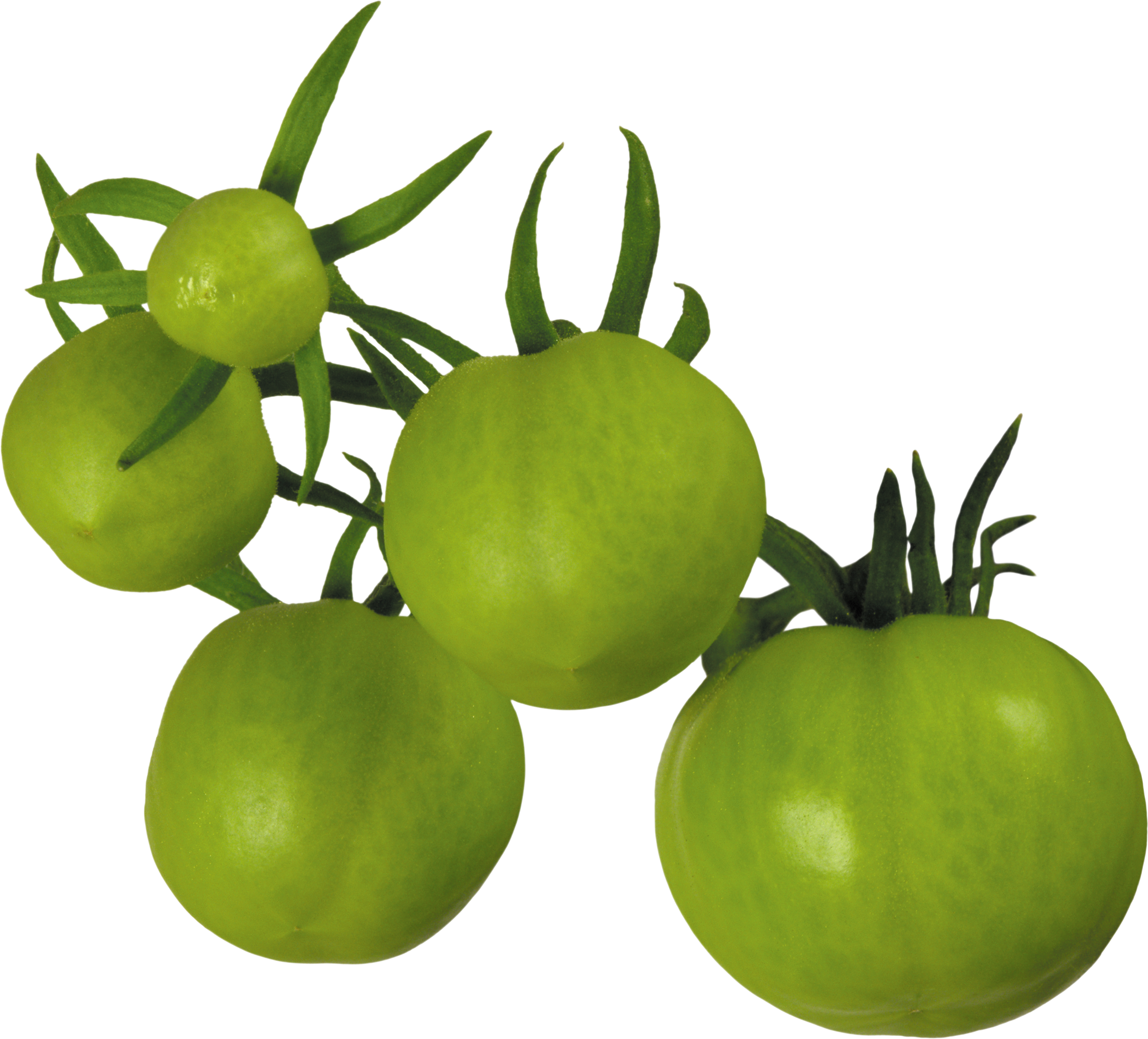 Tomato Png - Green Tomatoes Clipart Free (2921x2643)