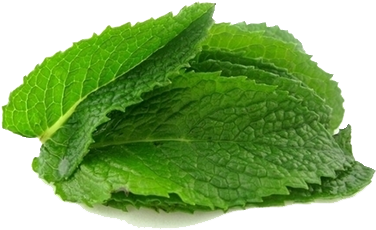 Mint Transparent Background - Supernature Garden Mint Infused Rapeseed Oil 250ml (448x311)