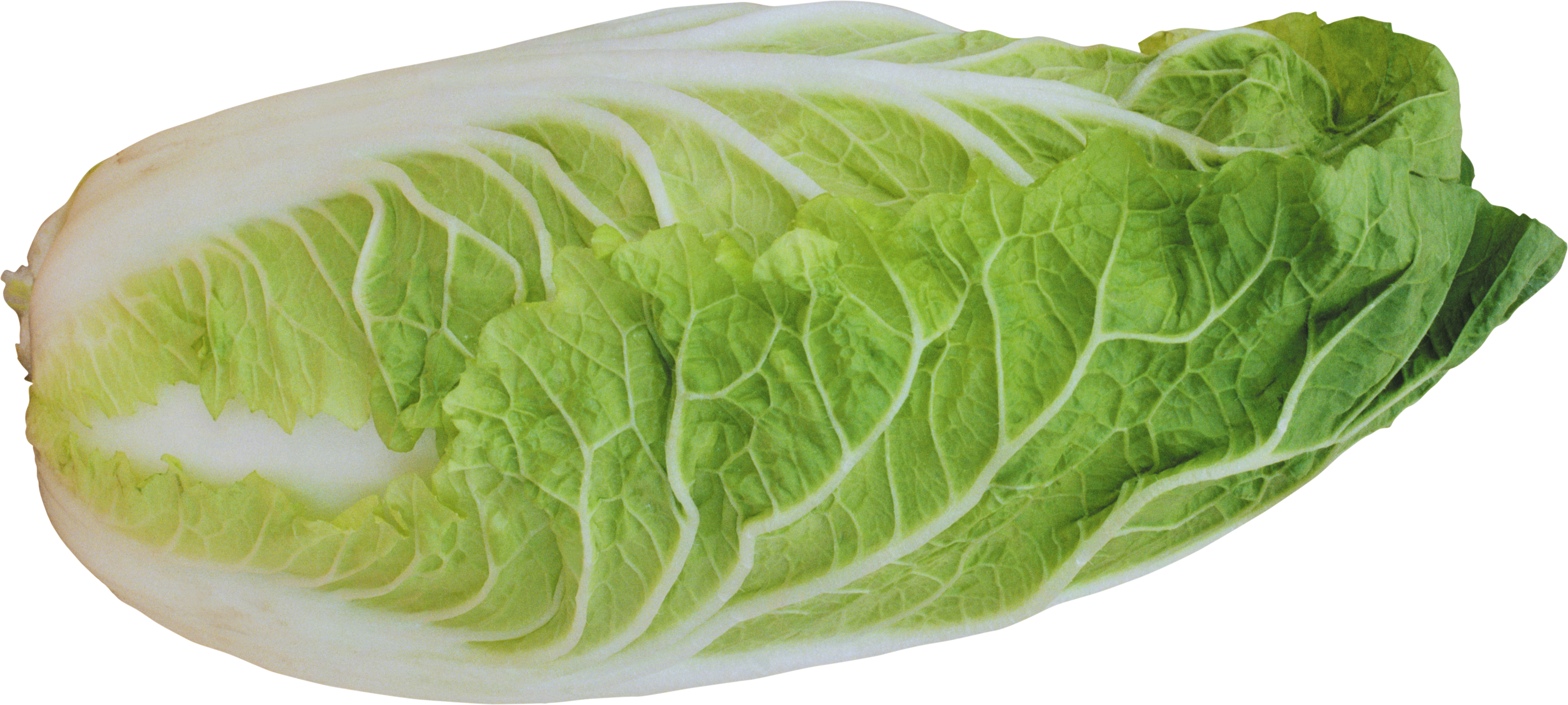 Salad Png Image - Lettuce Transparent Background (3800x1710)