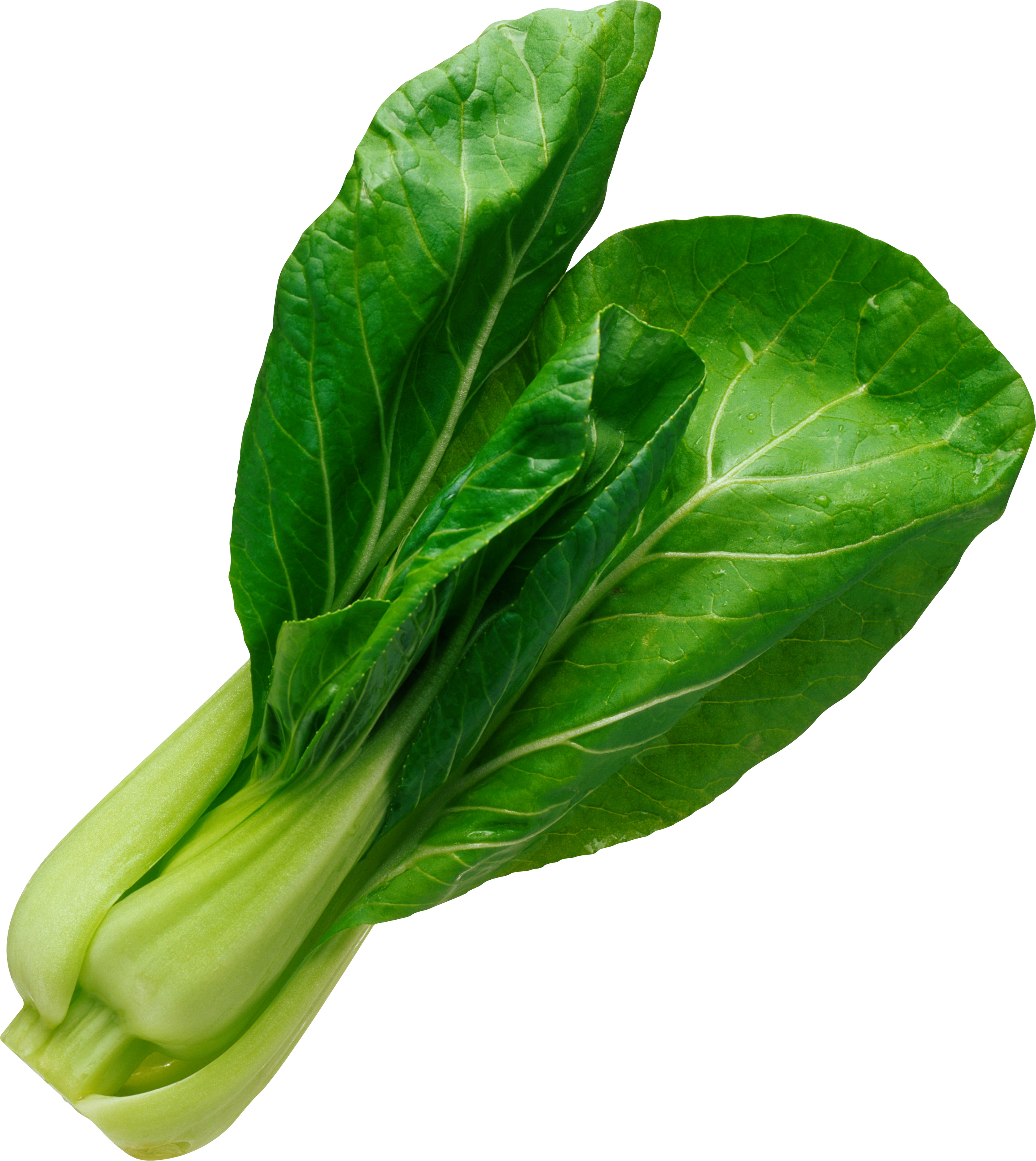 Salad Leaf Png Image - Vegetable Png (2594x2906)