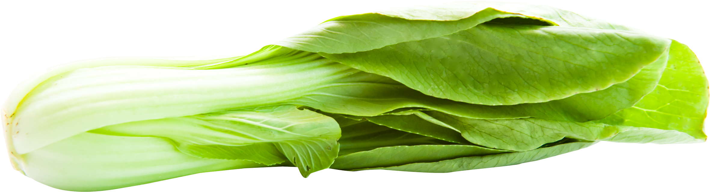 Bok Choy Transparent Background - Bok Choy Png (2510x853)