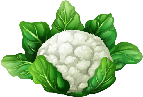 Cauliflower Png Clip Art - Cauliflower Animated (500x340)