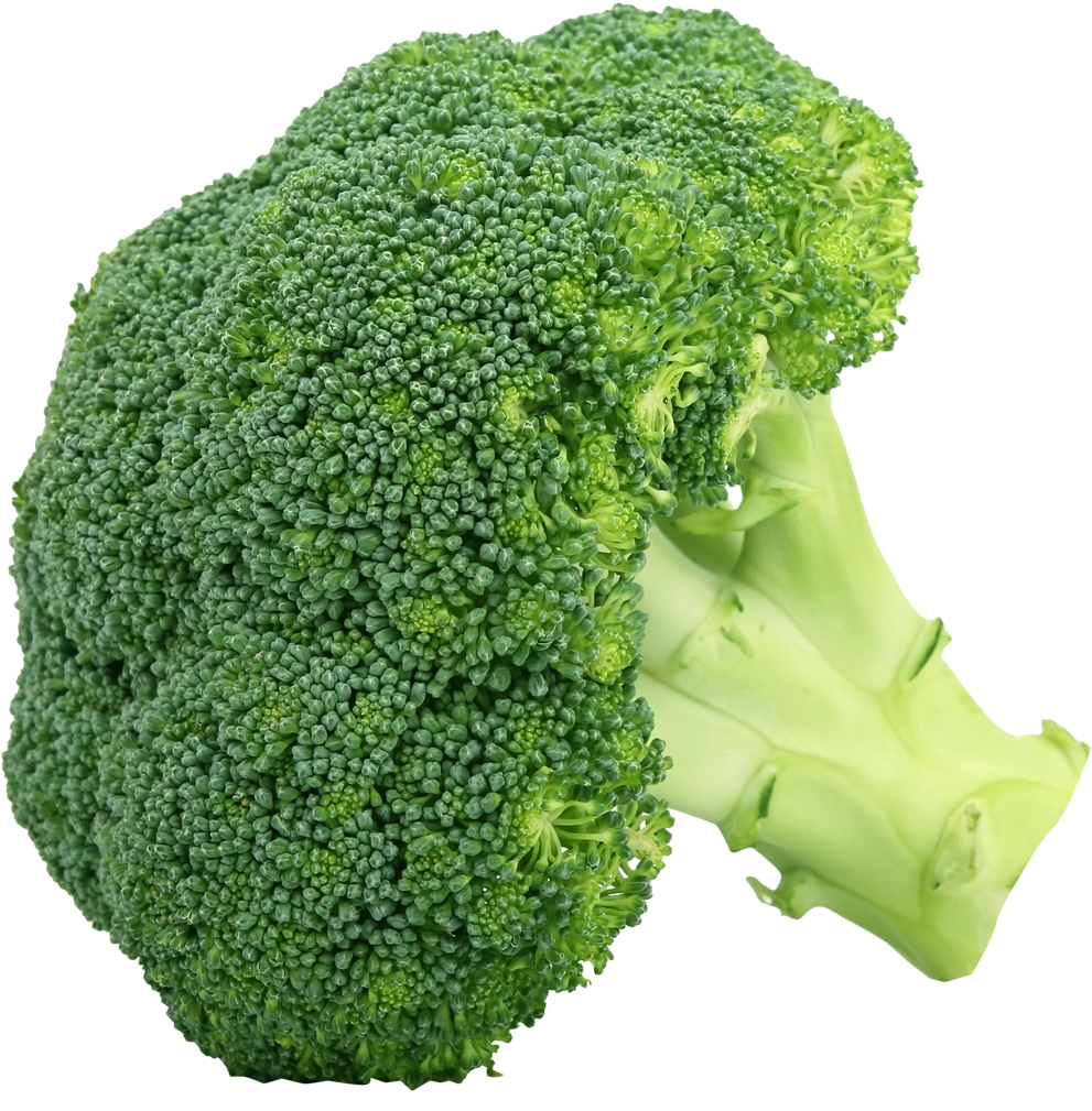 Broccoli Png Clipart - Broccoli Png (1166x1092)