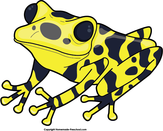 Spring - Poison Dart Frog Clip Art (559x449)
