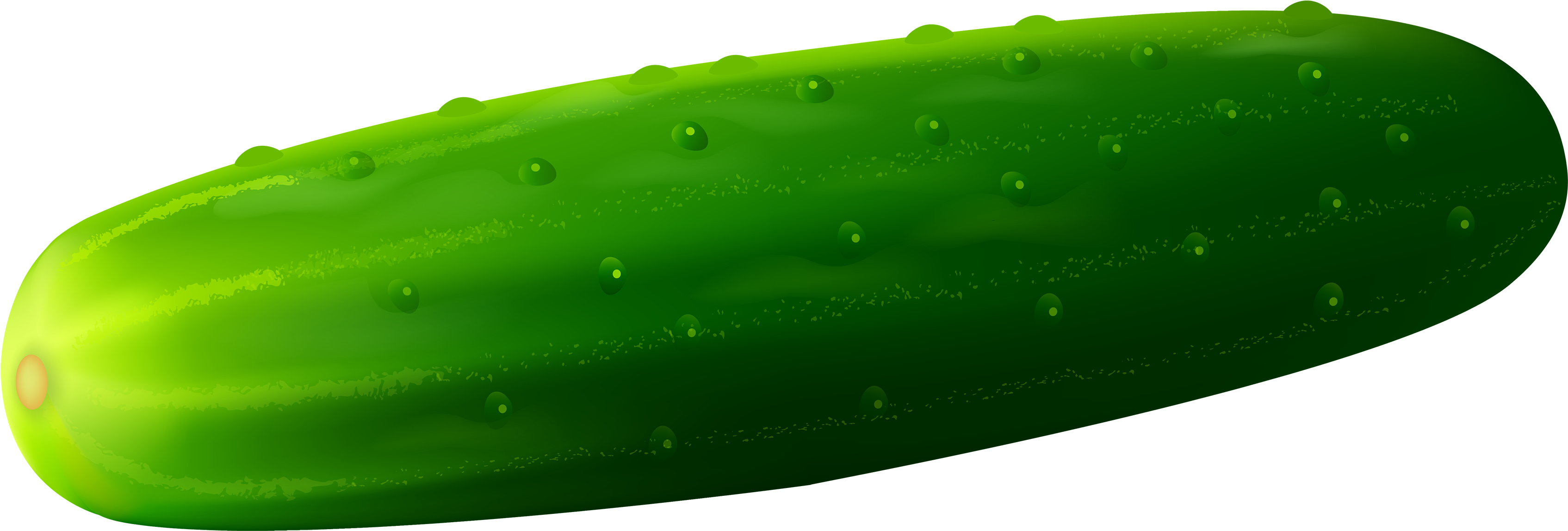 Cucumber Png Clipart - Cucumber Png (3500x1205)