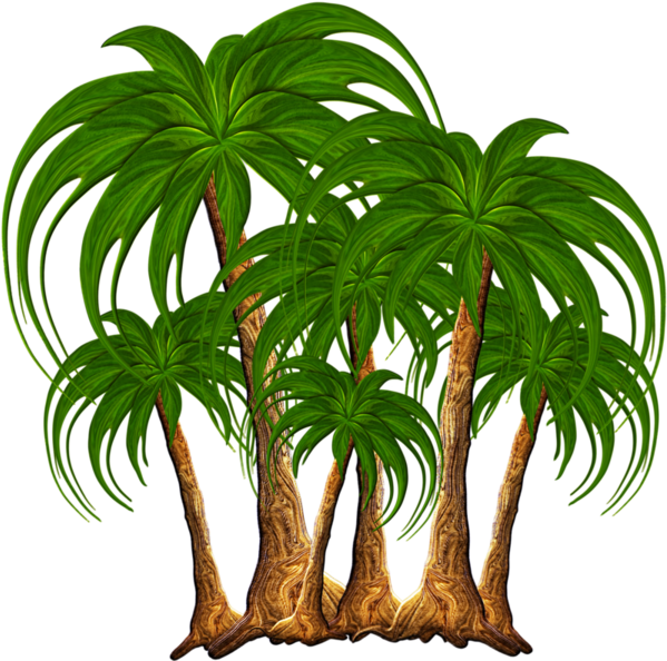 Дерева,пробки,png - Png Nature Clip Art (600x600)