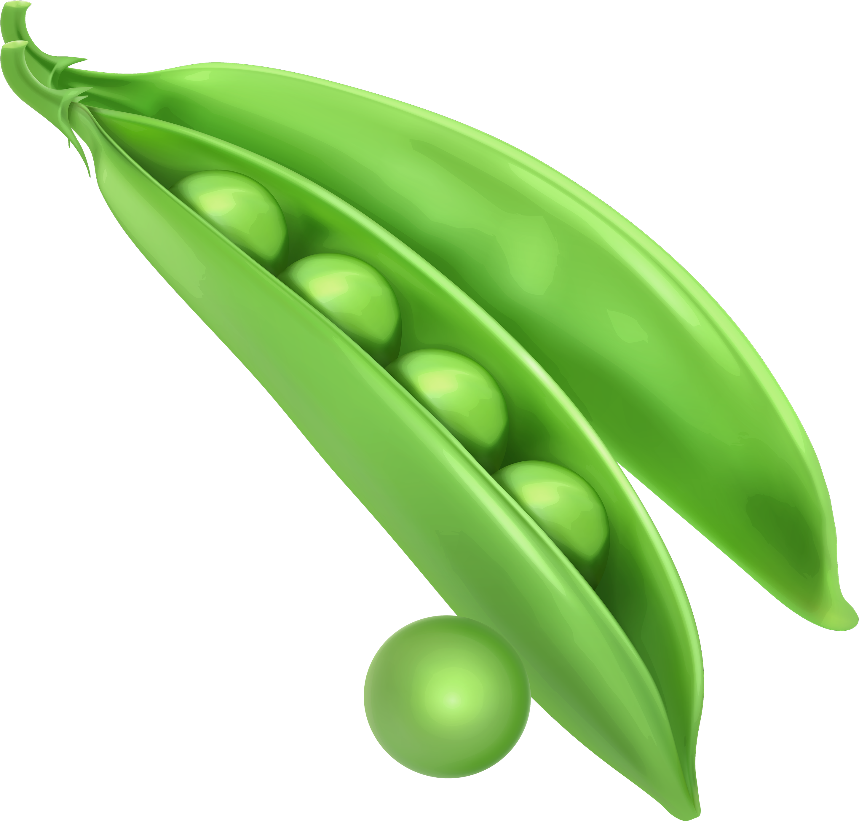 Peas Png Clipart - Peas Clipart (3000x2872)