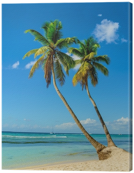 Cuadro En Lienzo Las Palmeras Que Entran En El Océano, - Vista Para O Praia Do Caribe (400x400)