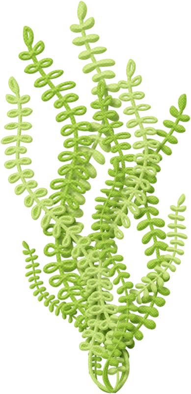 Bebe - Cartoon Sea Plant Png (389x800)