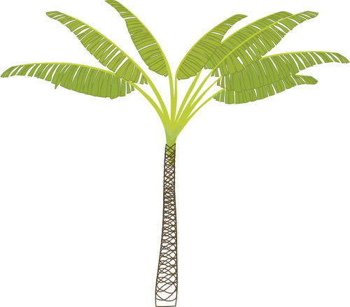 Vector Image Of Tropical Palm Tree - Palm Tree Clip Art (500x439)