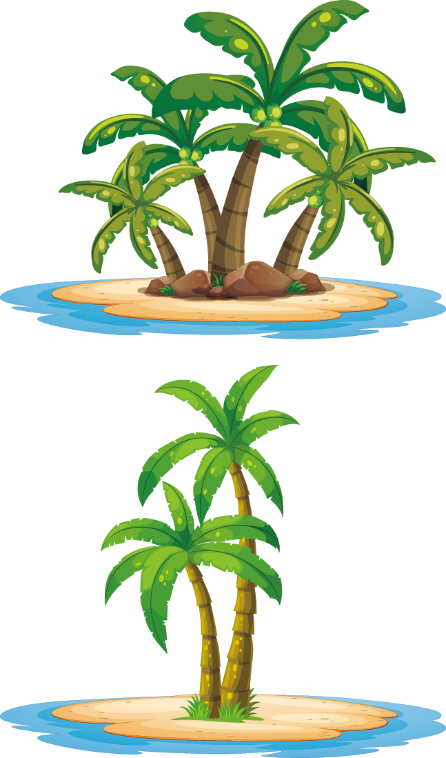 Island Arecaceae Illustration - Island Arecaceae Illustration (647x1099)