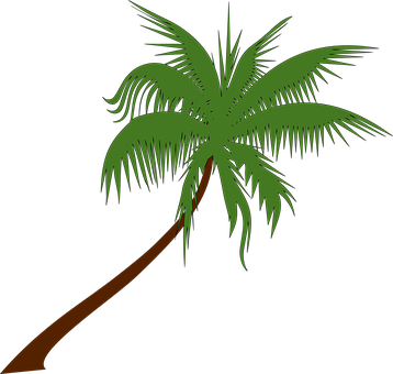 Palm Tree Coconut Palm Tree Tropical Palm - Coconut Tree Clipart Free (358x340)