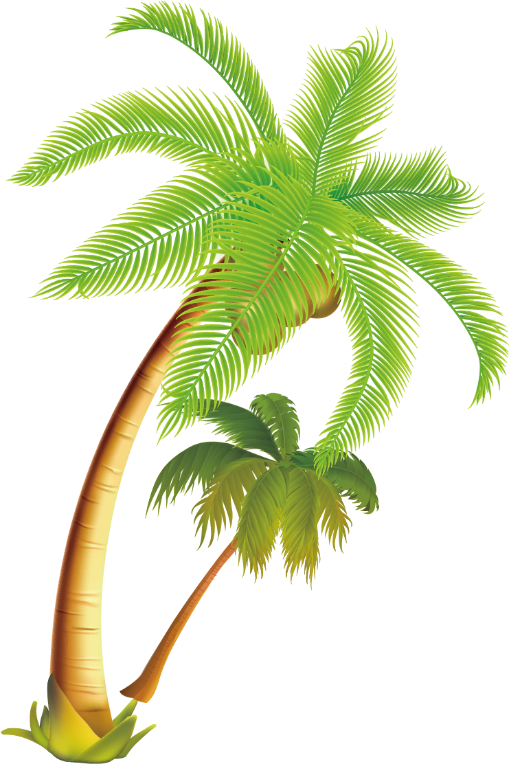Arecaceae Coconut Tree - Coconut Tree Vector Png (1240x1276)