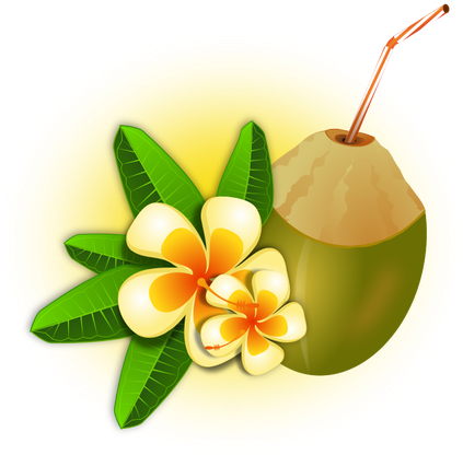 Imágenes De Palmera De Coco Y Cocos - Coco Tropical Png (500x468)