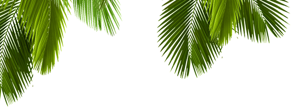 No Eres Candidato Para Trabajar Con Nosotros Por Ser - Proceedings Of The Twenty-fourth International Florida (941x348)