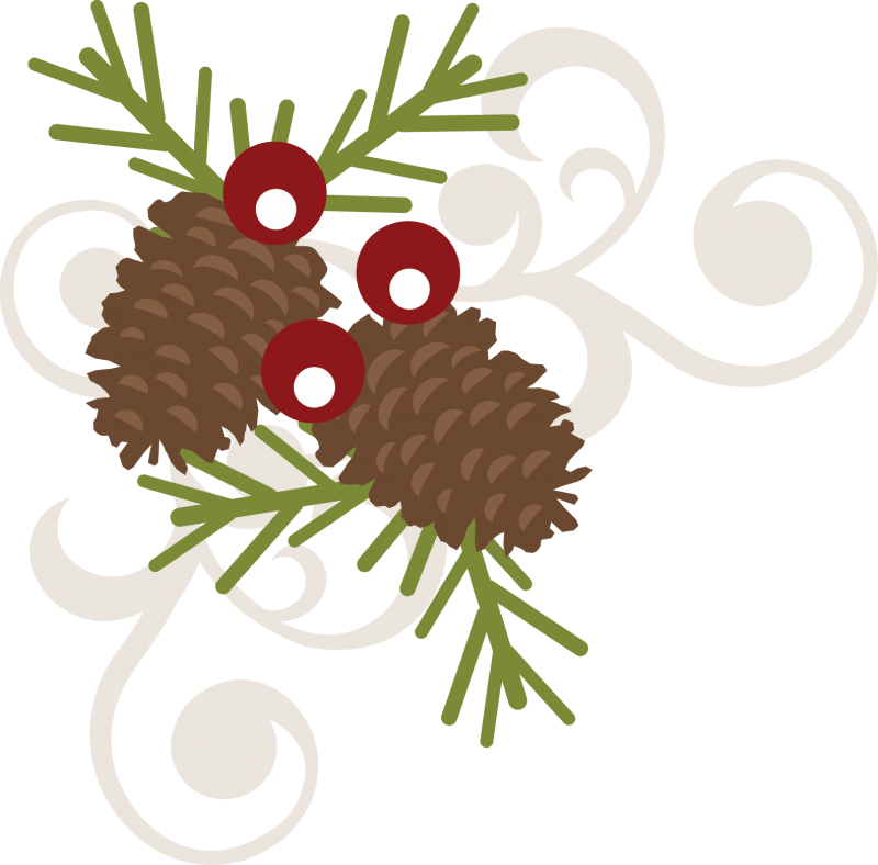 Pinecone Berry Swirl Svg Free Svg File Free Scrapbooking - Scalable Vector Graphics (800x788)