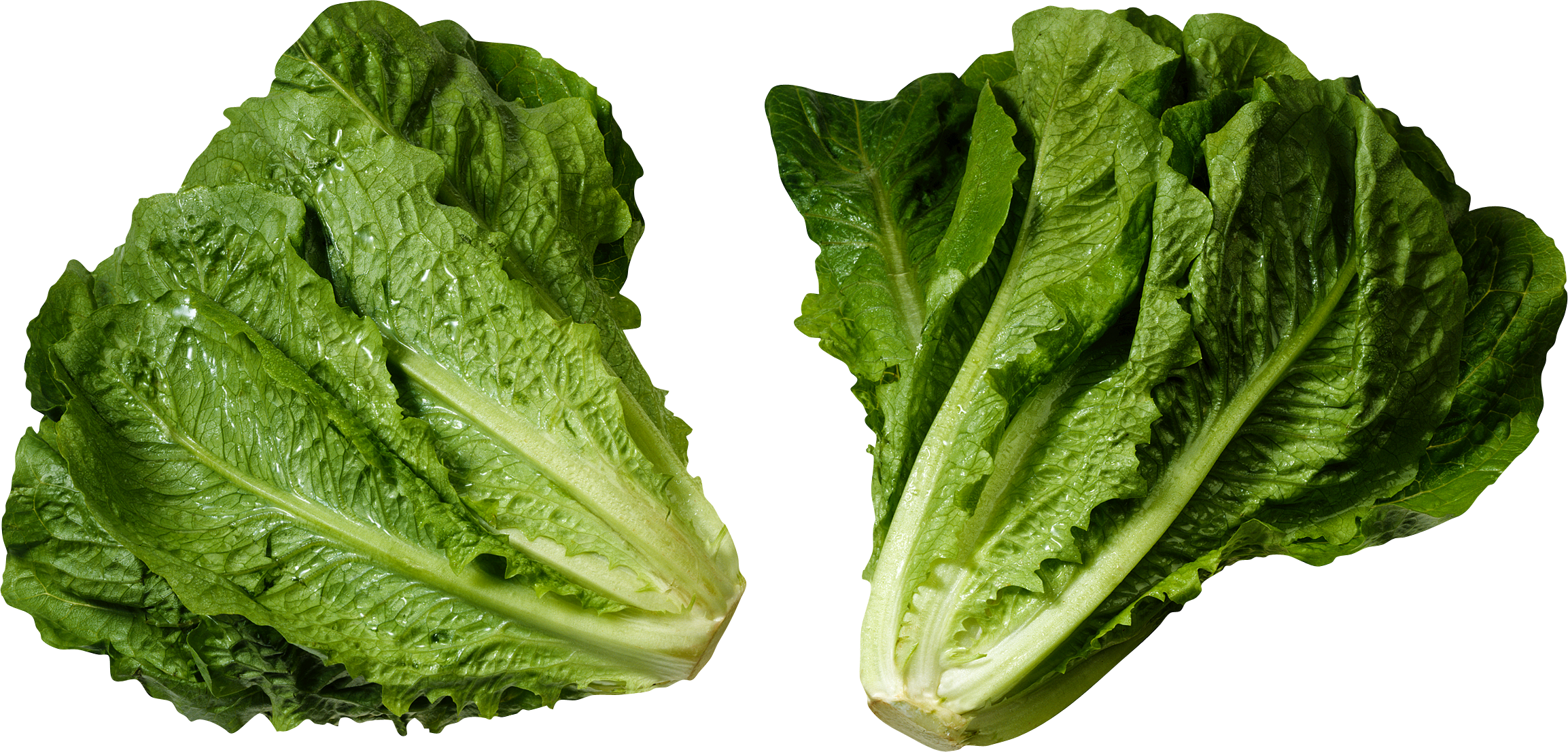 Green Salad Png Image - Lettuce Romaine (2307x1108)
