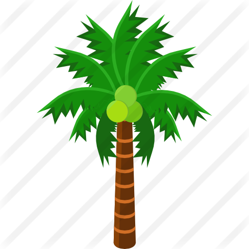 Palmera - Iconos Palmeras Png (512x512)