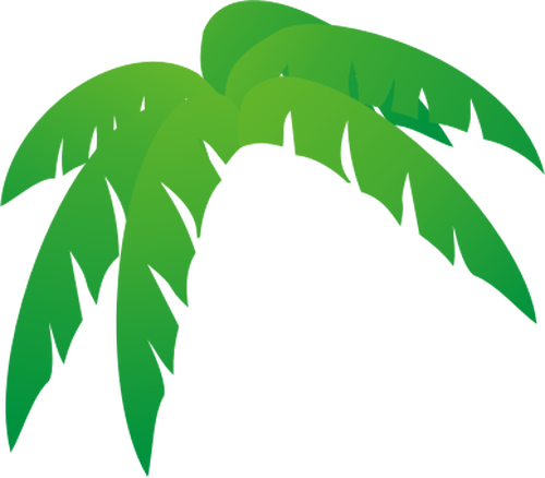 Palmera De Hojas Ilustración Vectorial - Palm Tree Leaves Clip Art (500x438)