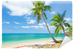 Fotomural Playa Tropical Con Palmeras De Coco • Pixers® - Palmera De Coco Playa (400x400)