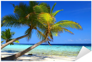 Vinilo Pixerstick Fenomenal Playa Con Palmeras Y Aves - Mensagem De Aniversariopara Pai (400x400)