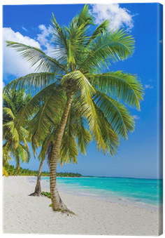 Cuadro En Lienzo Playa De Arena Con Palmeras, República - Quo Vadis : Agenda 2017 2018 17x12cm Iles Paradisiaques (400x400)