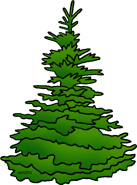 State Tree Of South Dakota - Spruce Tree Clip Art (498x648)