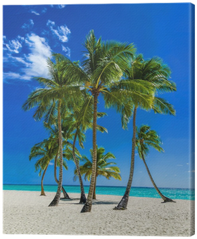 Cuadro En Lienzo Playa Del Caribe Exótica Con Altas - Tableau De Plage Avec Des Palmiers (400x400)