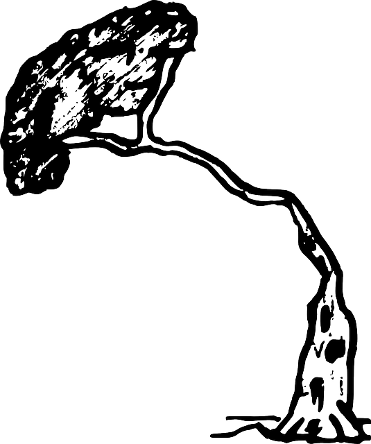 Tree Pine, Wood, Nature, Plant, Tree - Tree Falling In Black And White (535x640)