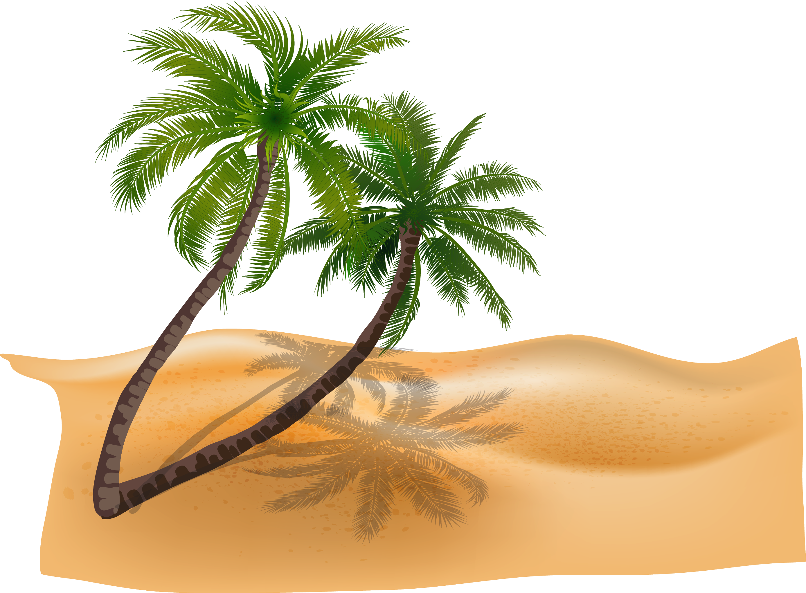 Vector Material Plant Coconut Trees Beach Beach - Palm Tree Breach Vector (2776x2043)