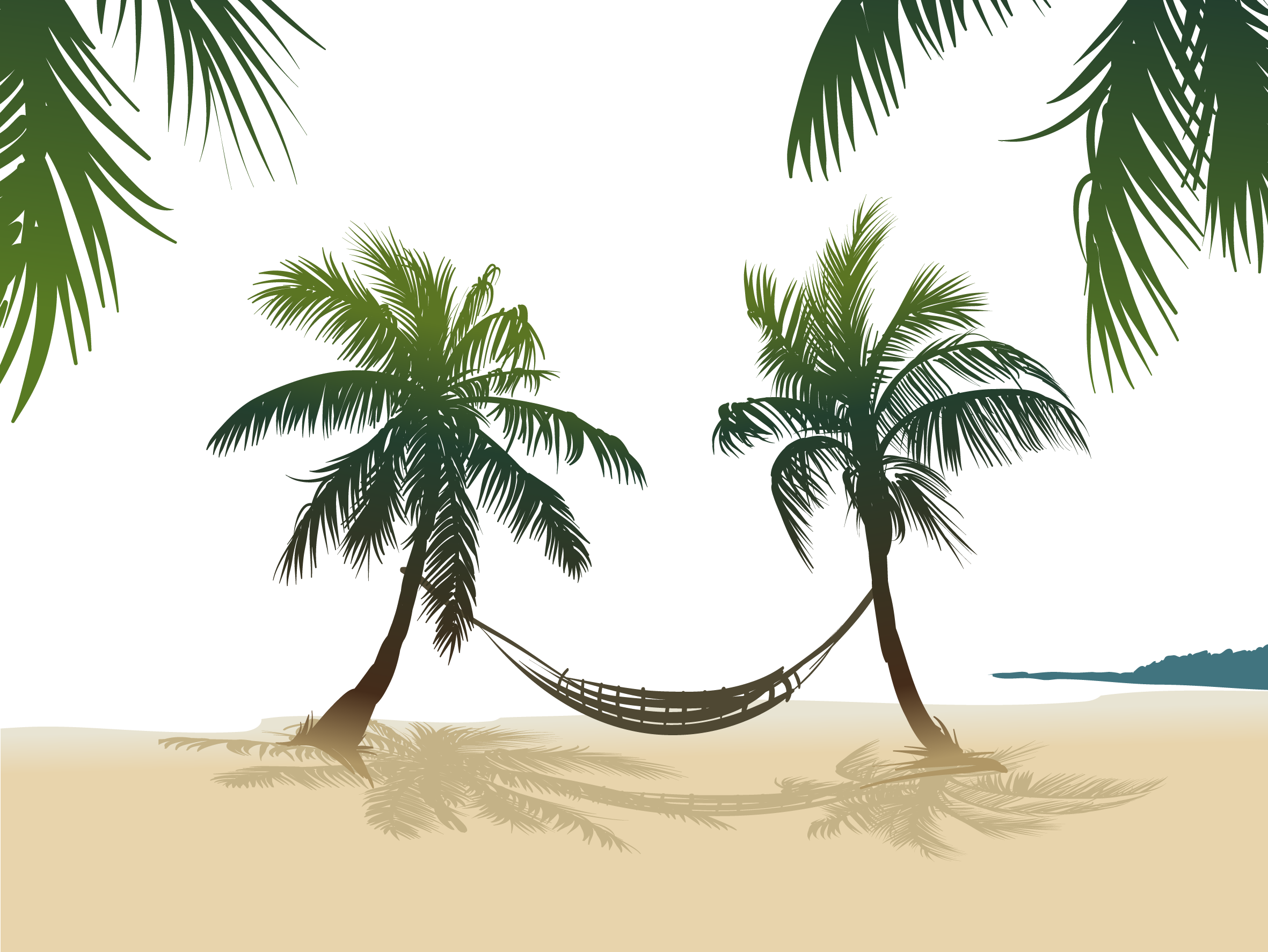 Arecaceae Stock Photography Royalty-free - Coconut Tree Free Vector (2362x1774)