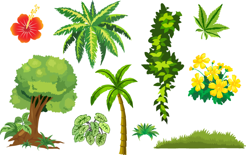Jungle Graphic - Jungle Graphic (810x512)