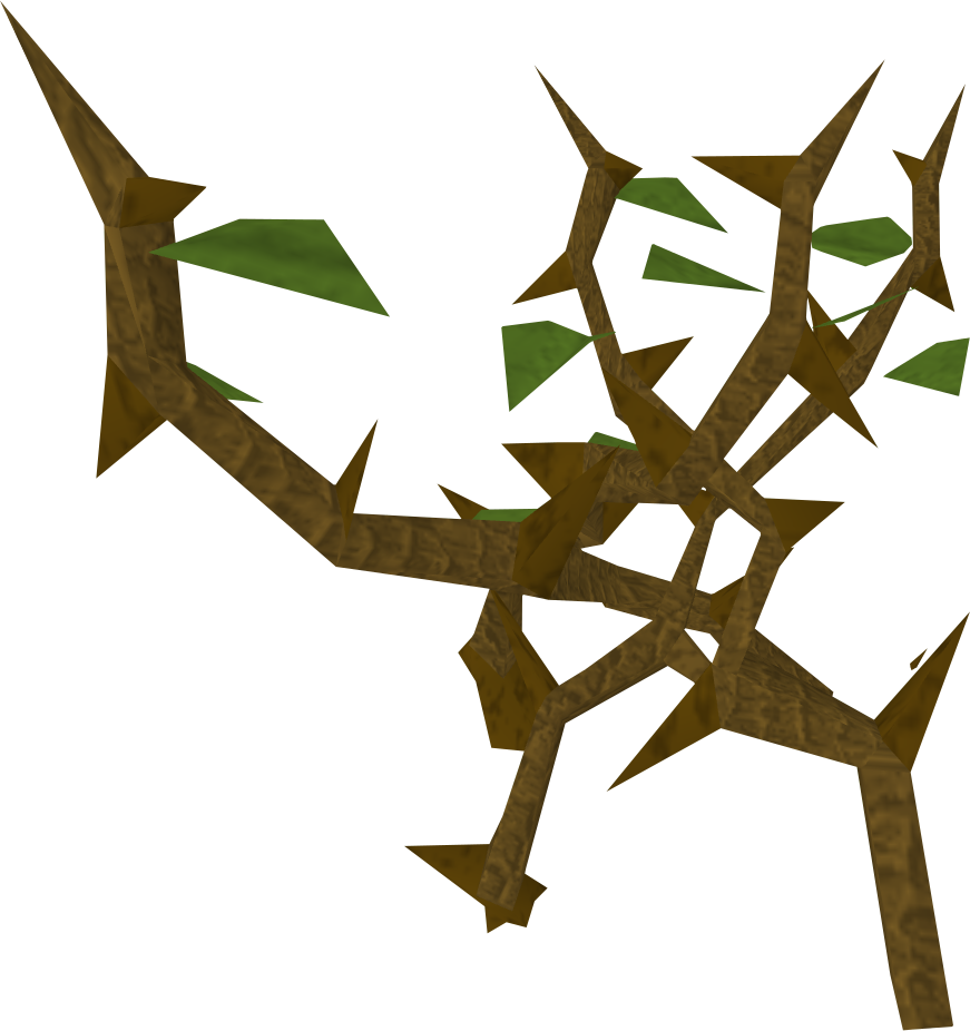 Dense Jungle - Wiki (871x926)