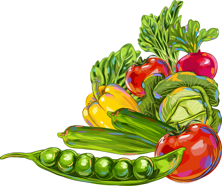 Vegetable Okra Fruit Illustration - Vegetables And Fruits Border (883x740)