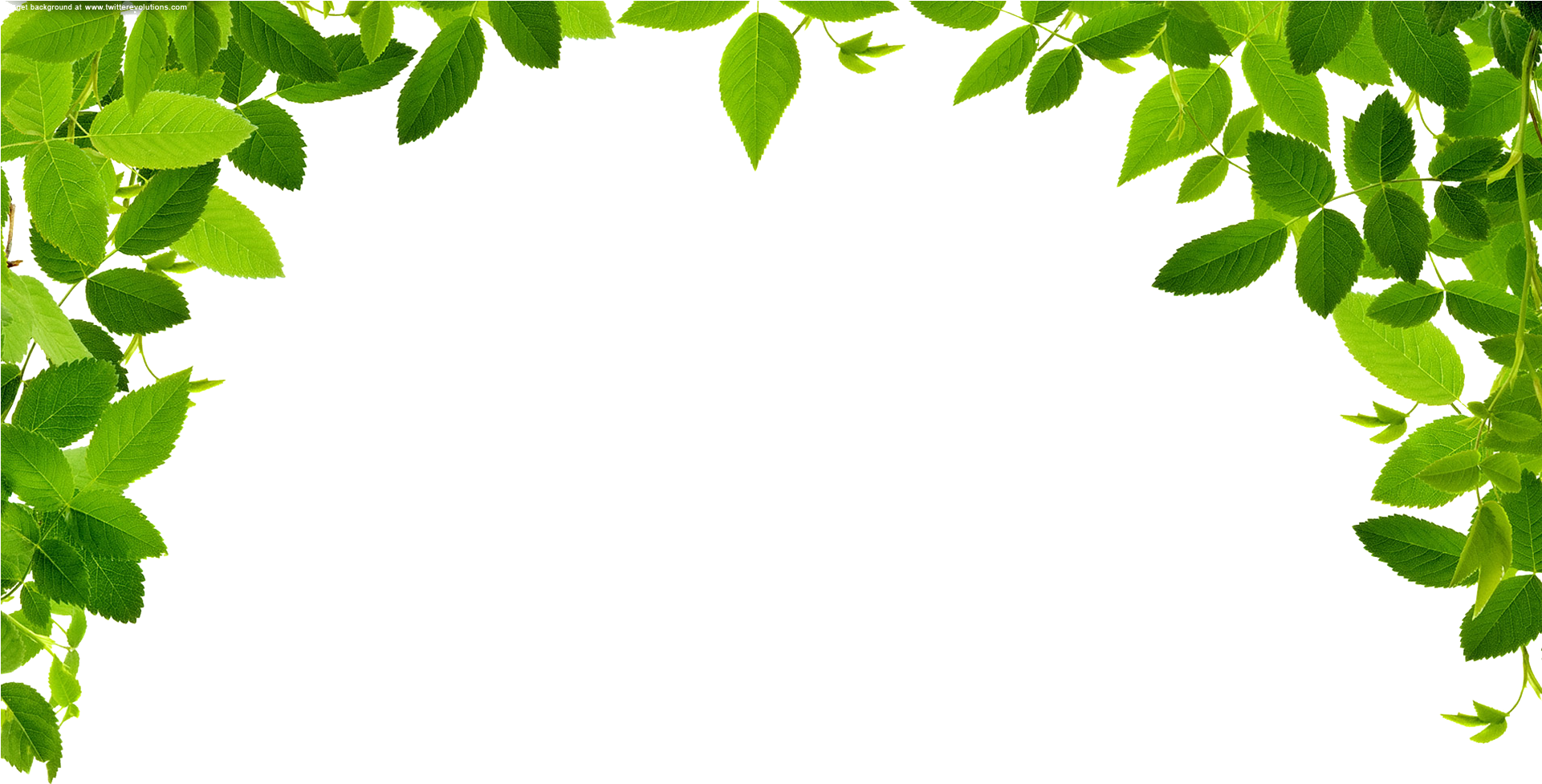 Jungle Border Png Image - Jungle Border Png (1920x1024)