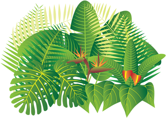 Bleed Area May Not Be Visible - Jungle Plants Png Illustrations (600x427)