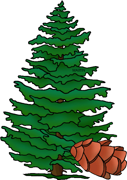 Pennsylvania State Tree Hemlock - Cartoon Hemlock Tree (465x648)