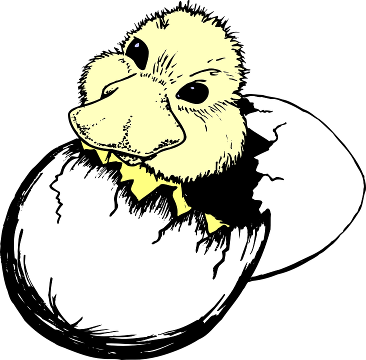 Fuzzy Clipart Transparent - Duck Hatching Clipart (732x720)