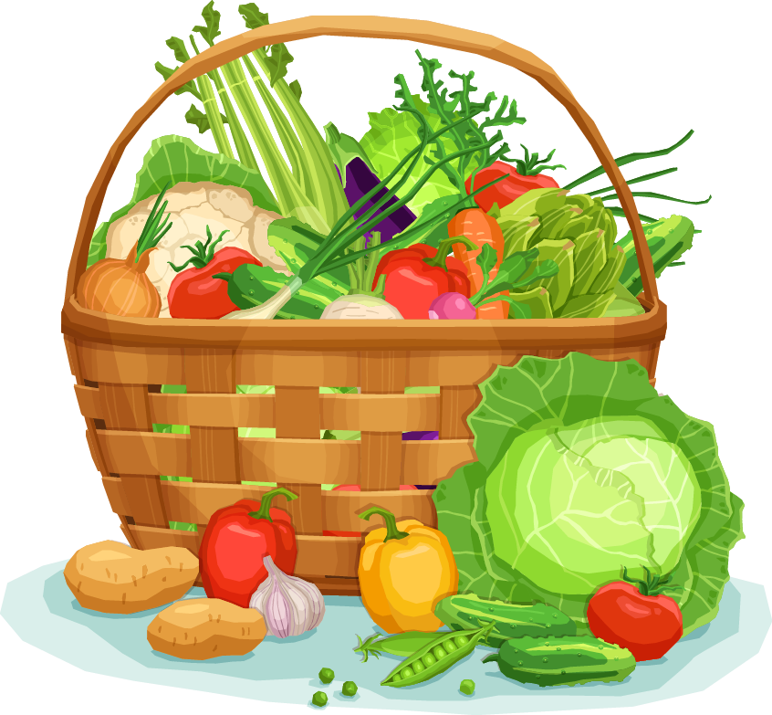 Food Carrot Salad Clip Art - Food Carrot Salad Clip Art (846x783)