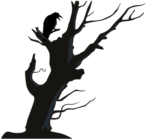 Crow Free Png Transparent Background Images Free Download - Crooked Tree Png (512x512)