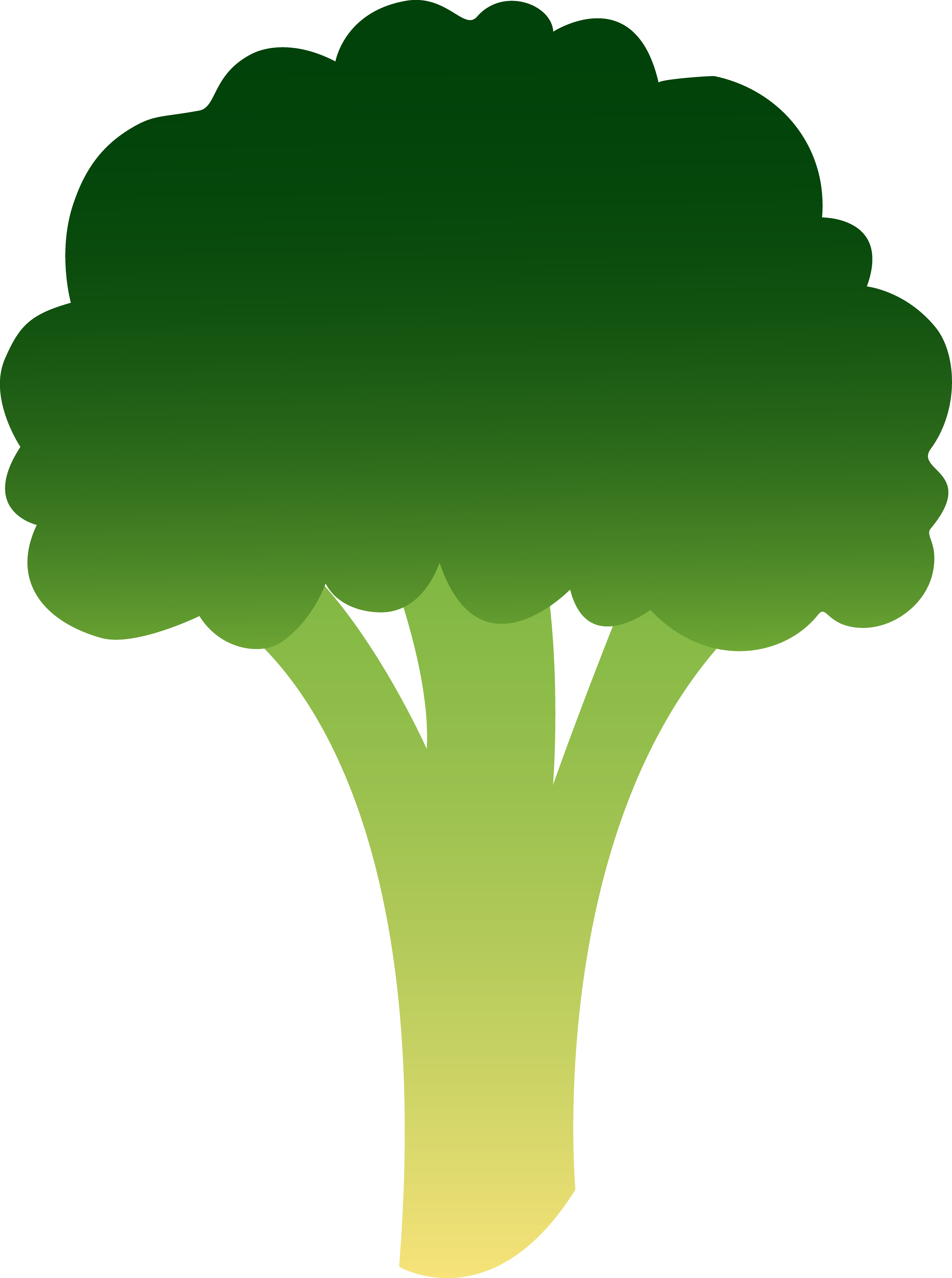 Broccoli 20clipart - Broccoli Clipart Easy (3793x5090)