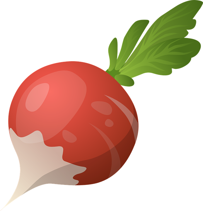 Food Cliparts Vegetables 14, Buy Clip Art - Radish Cartoon Png (693x720)