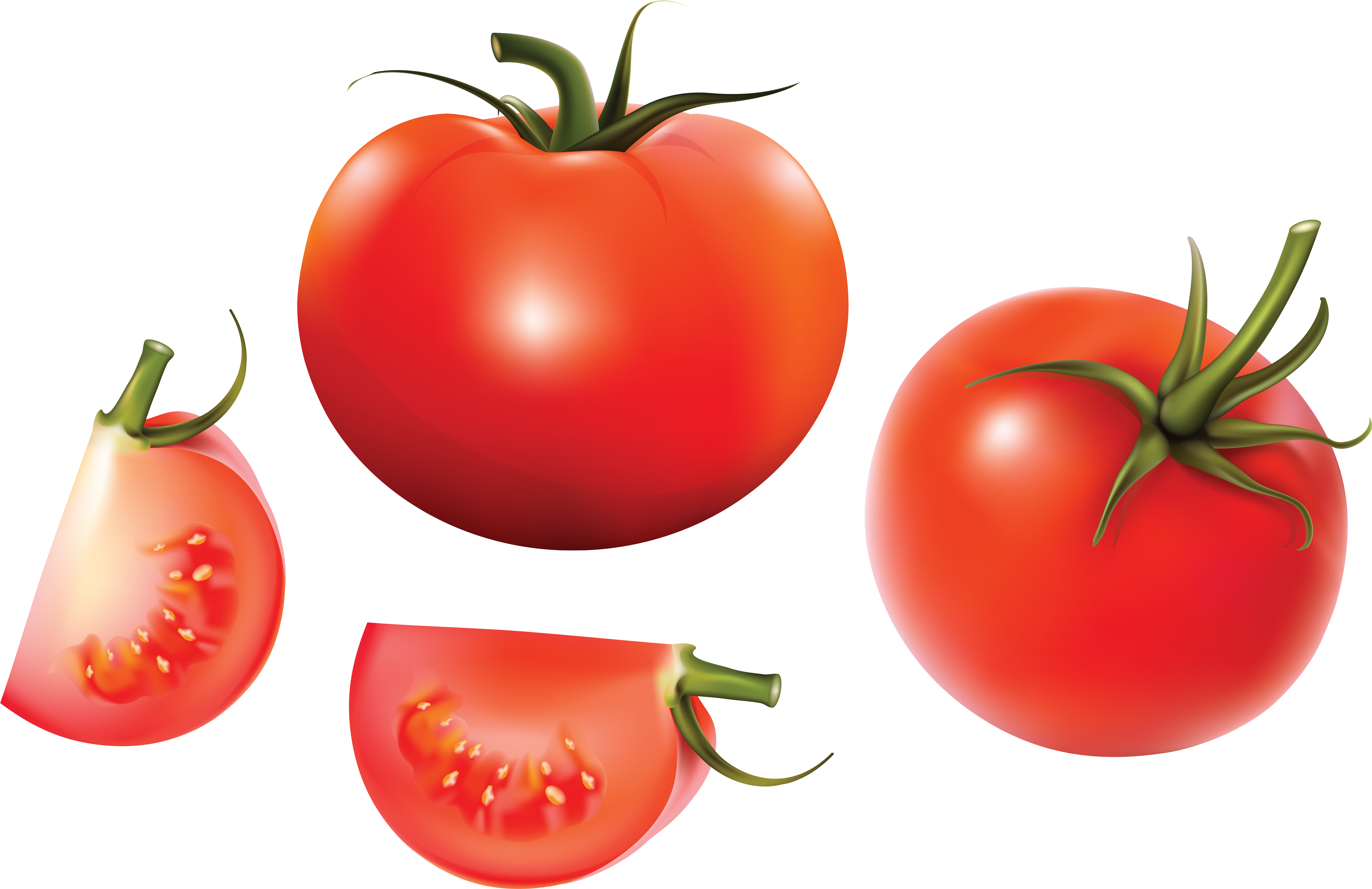 Tomato Soup Euclidean Vector Vegetable - Tomato Png (5906x4252)
