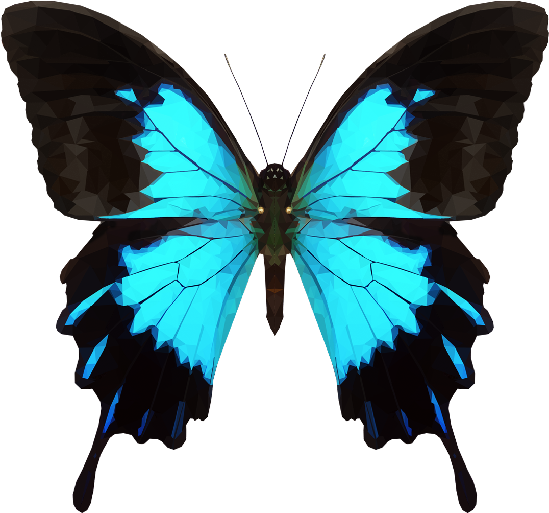 Transparent Butterfly Tumblr - Butterfly Transparent (1185x1064)