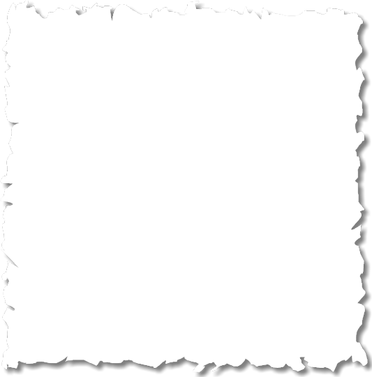 Cat Eye Eyeglasses, Acetate Black - Cat Eye Glasses (533x541)